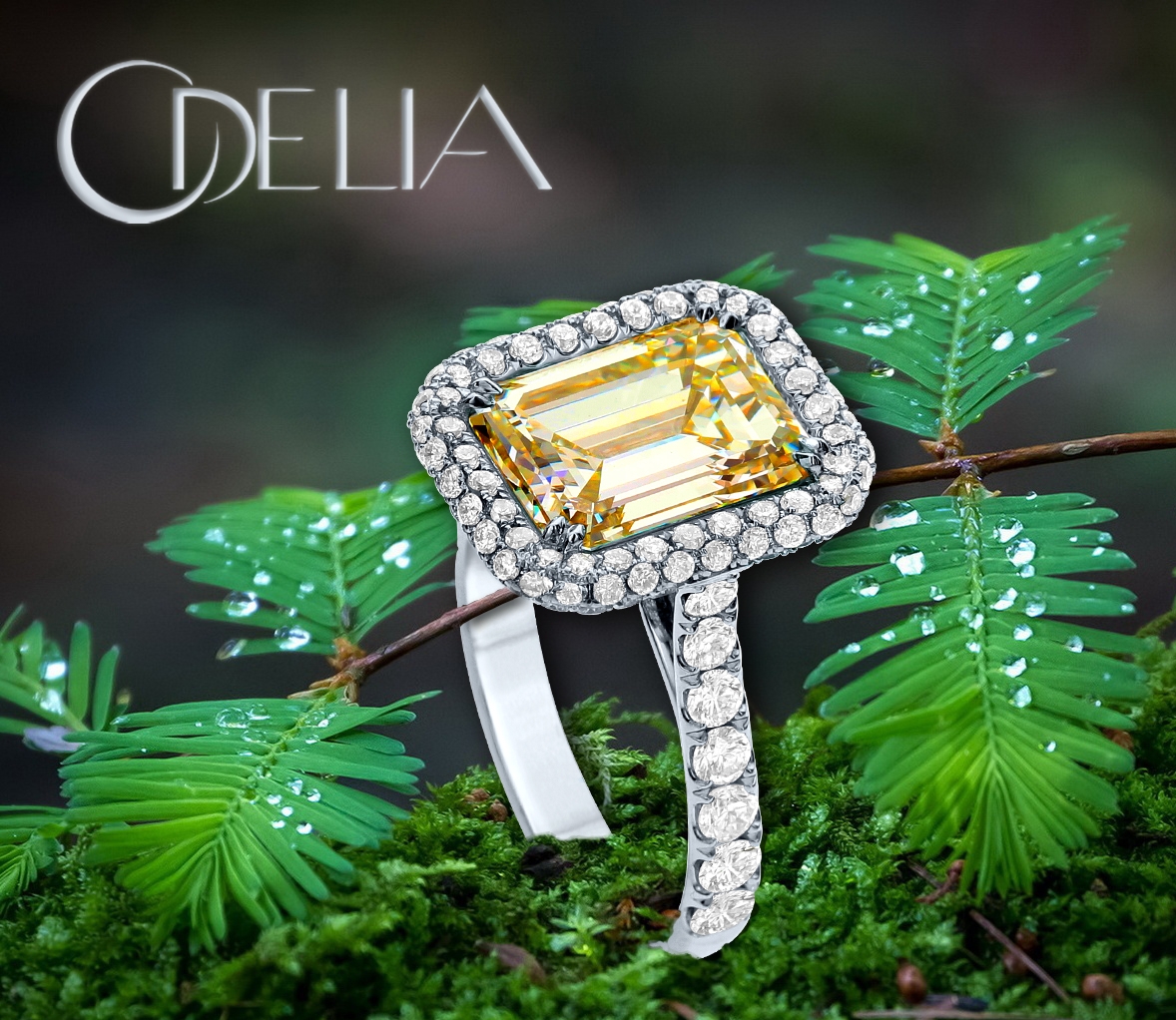 Odelia Jewelry